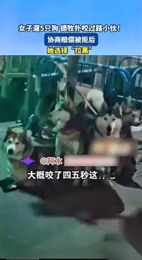 深圳这女的，太离谱了！遛5条成年狗把人咬了，转头就拉黑？！等红绿灯时，她