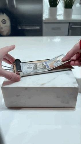 不仔细看还以为是条二哈走过去了[doge]