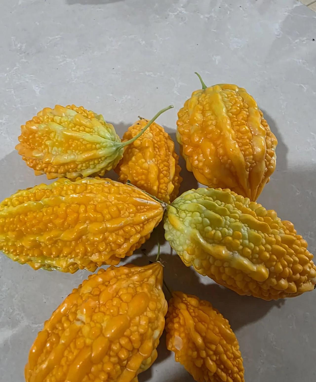朋友们，有认识这种水果的吗？这次回村，正值很多水果下市的时候，瓜果桃梨之外，乡