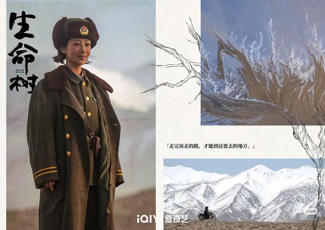 杨紫是树，胡歌是山，李光洁是水脉，张哲华是小动物，梅婷是根，袁弘是科技生产力？