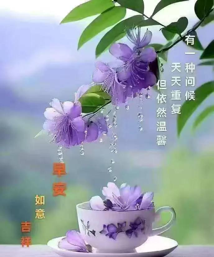 早安心语：有一种问候，天天重复，但依然温馨。晨曦微漾，新的一天悄然开启。亲爱的