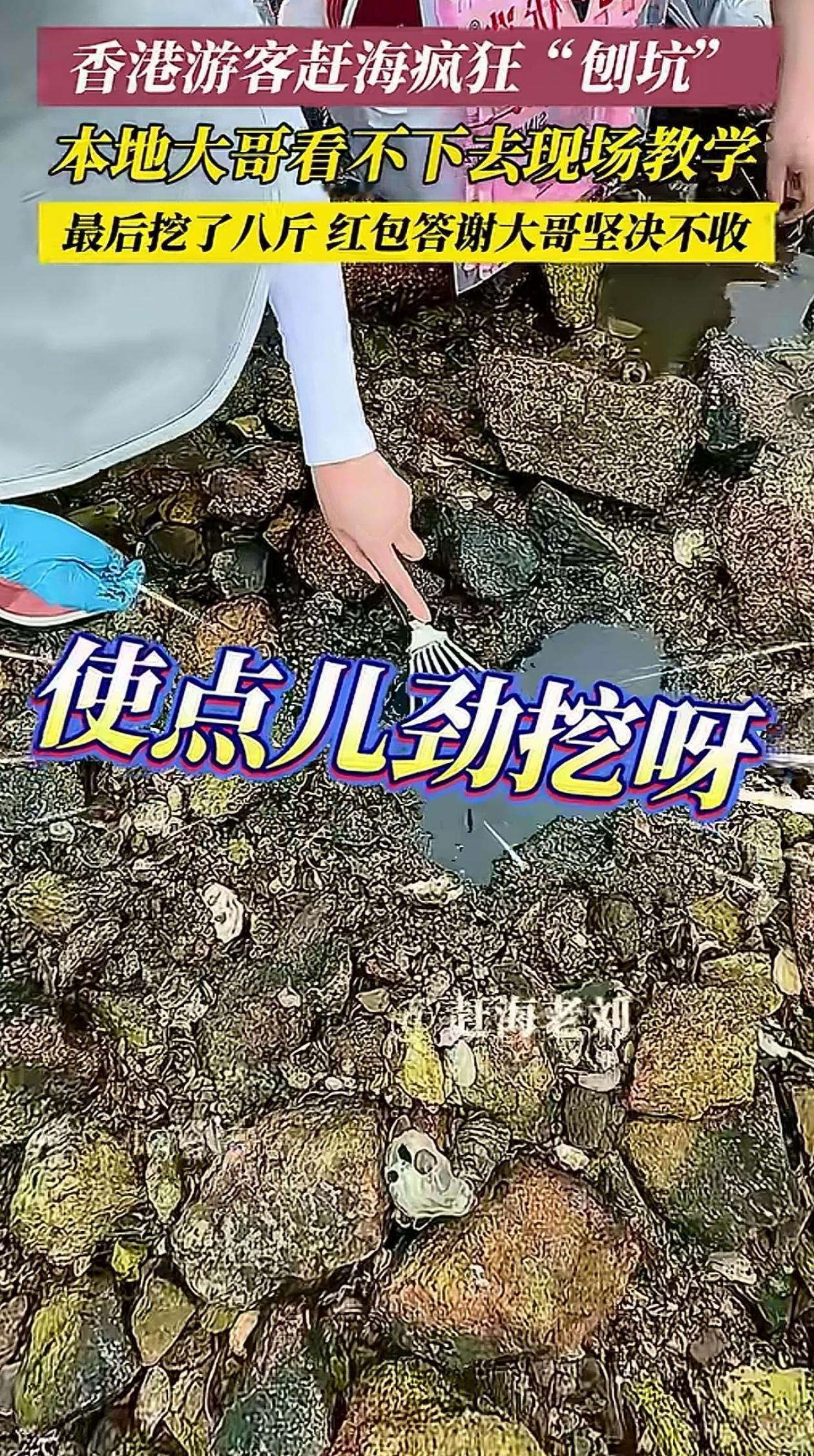 “笑不活了！”山东烟台，香港游客去赶海，带着一个小爪子认真在那刨坑，可半天啥也没