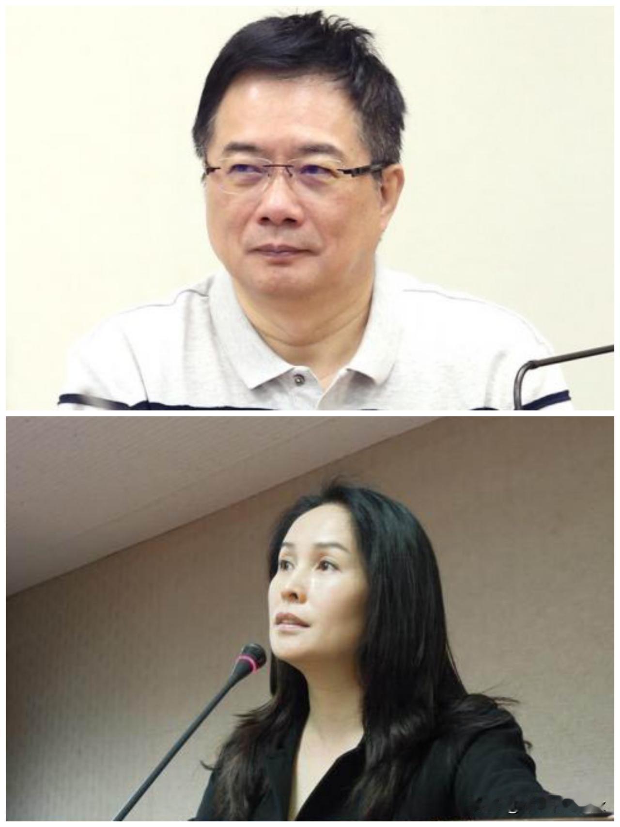 [打脸]“高金素梅”被抓了，于是蔡正元在网上嚎叫起来说：“如果我们不处理，以后就