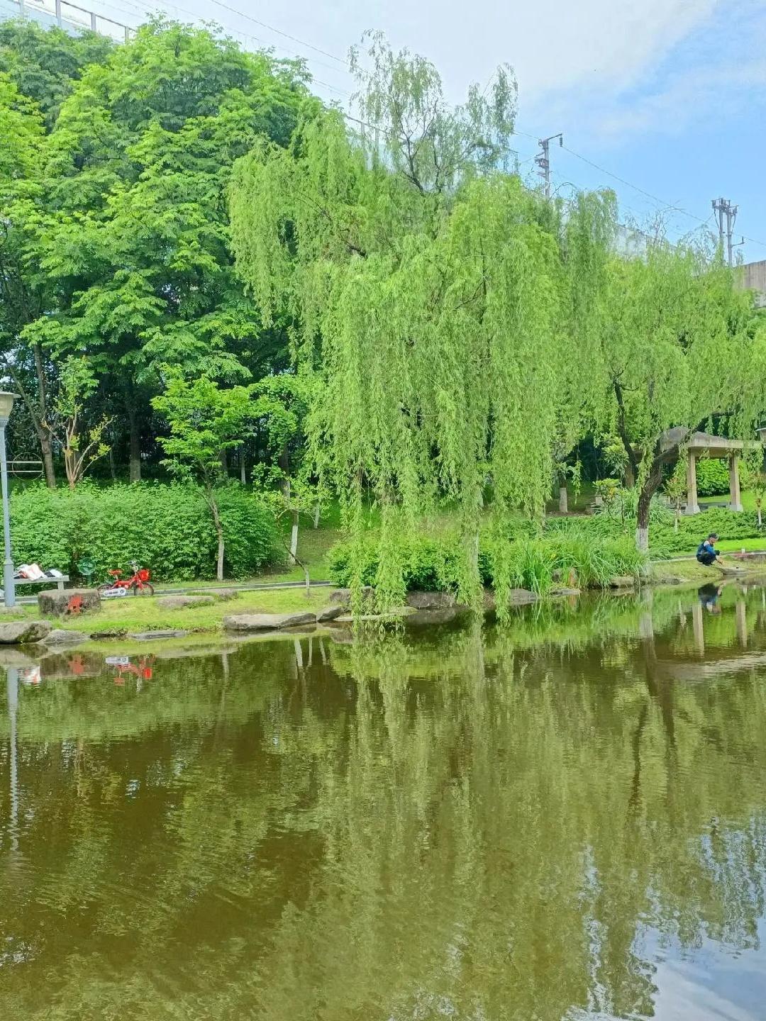 春日漫游指南｜同心公园轻量级运动路线🌸春日的风里总带着花香，想在城市绿洲里