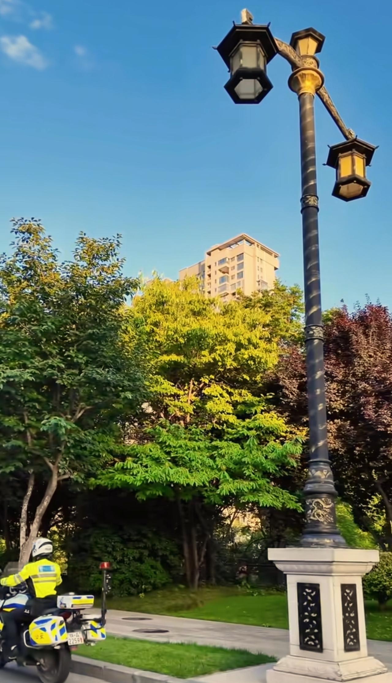 西安的绿化是北方城市里最好的！虽然作为一个西安人说这个话会被人说是自大