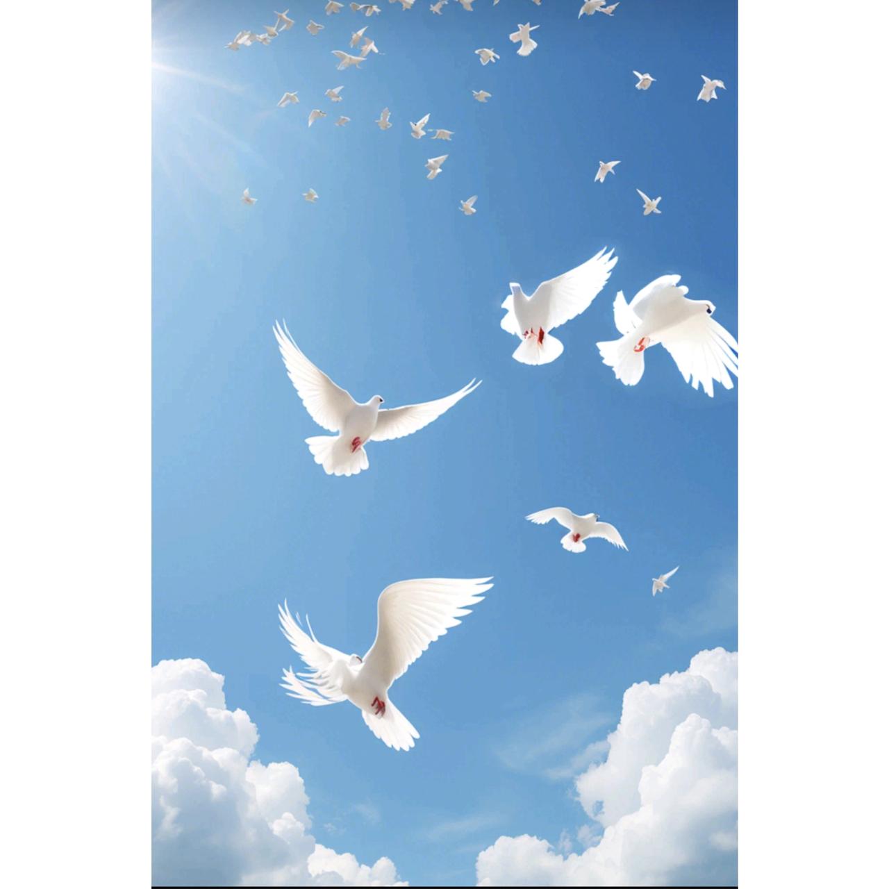 俄罗斯科学家往鸽子脑袋里嵌入了微型脑部芯片，让它们变成能被远程控制的"半机械鸟"