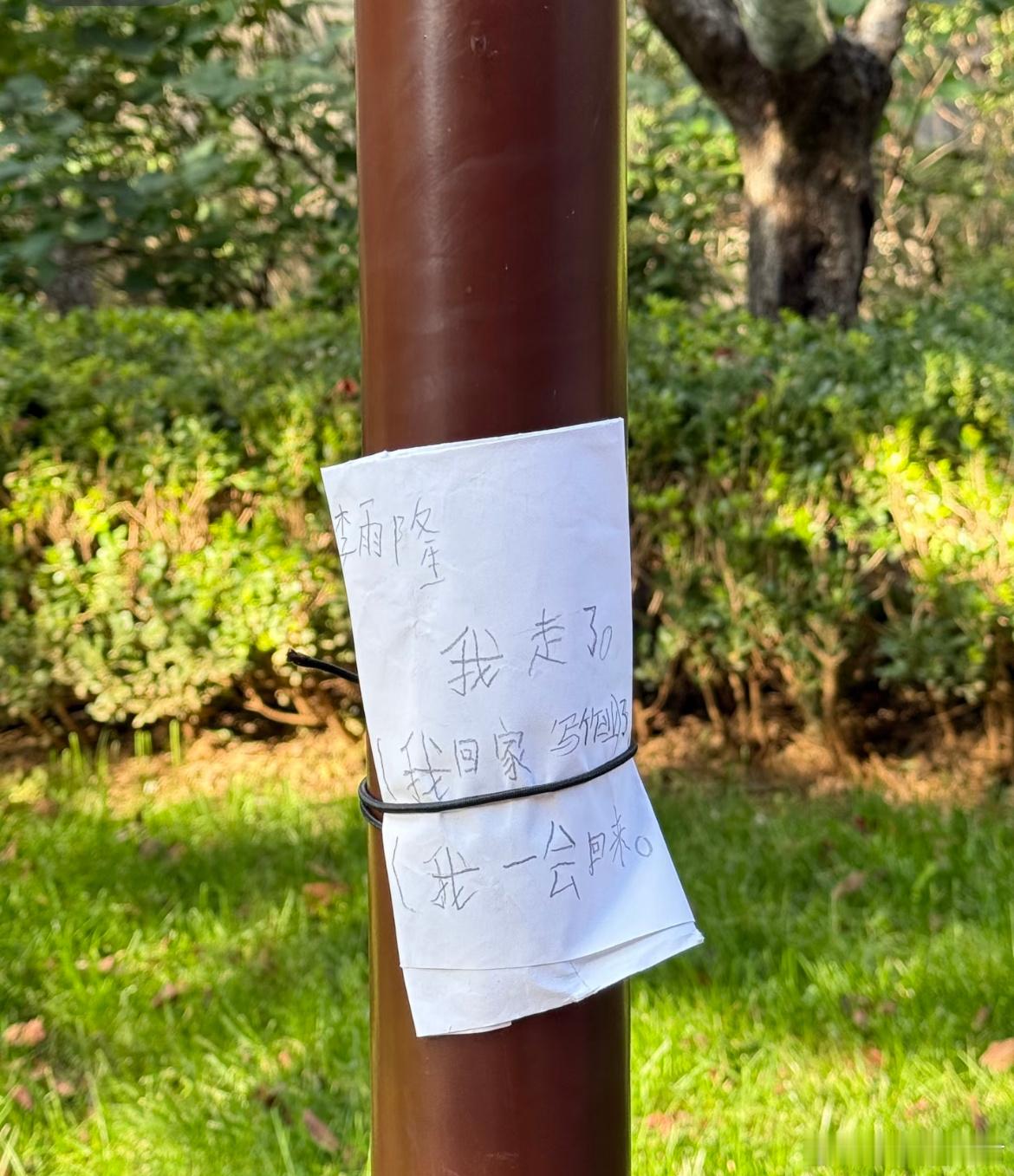 人类幼崽有时候确实很可爱