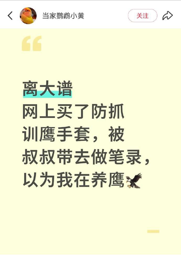 鹰武！​​​​