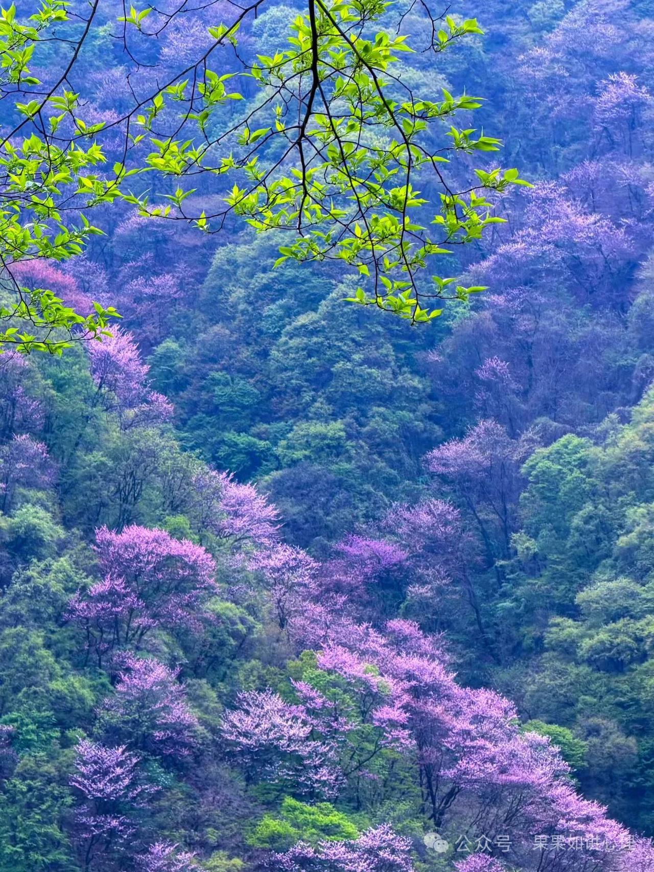 天蝎座最让不可理解的五大特点第一，天蝎座正常的时候，那是双商超高人见人爱，谦虚
