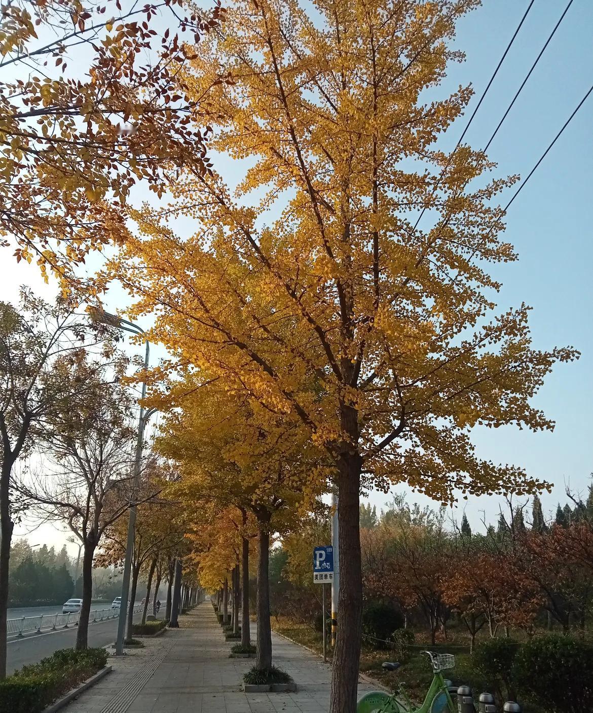 你的退休金少，有没有自身的原因？其实，要是入错了行，退休金很难高起来，这和自身关