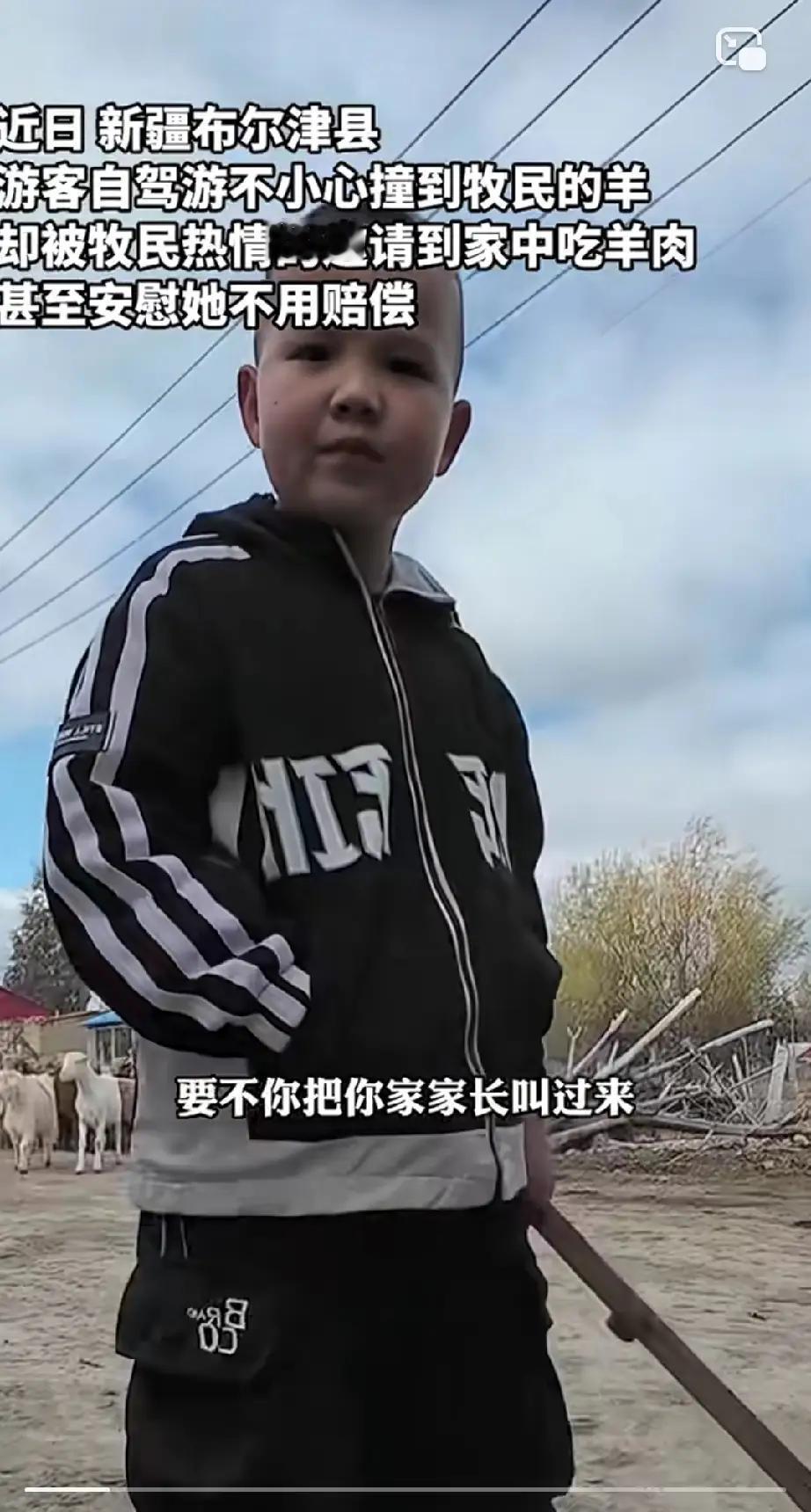 近日，一女子到新疆自驾，刚到布尔津县，就出了事。一个小男孩大喊：“撞到我家羊了！