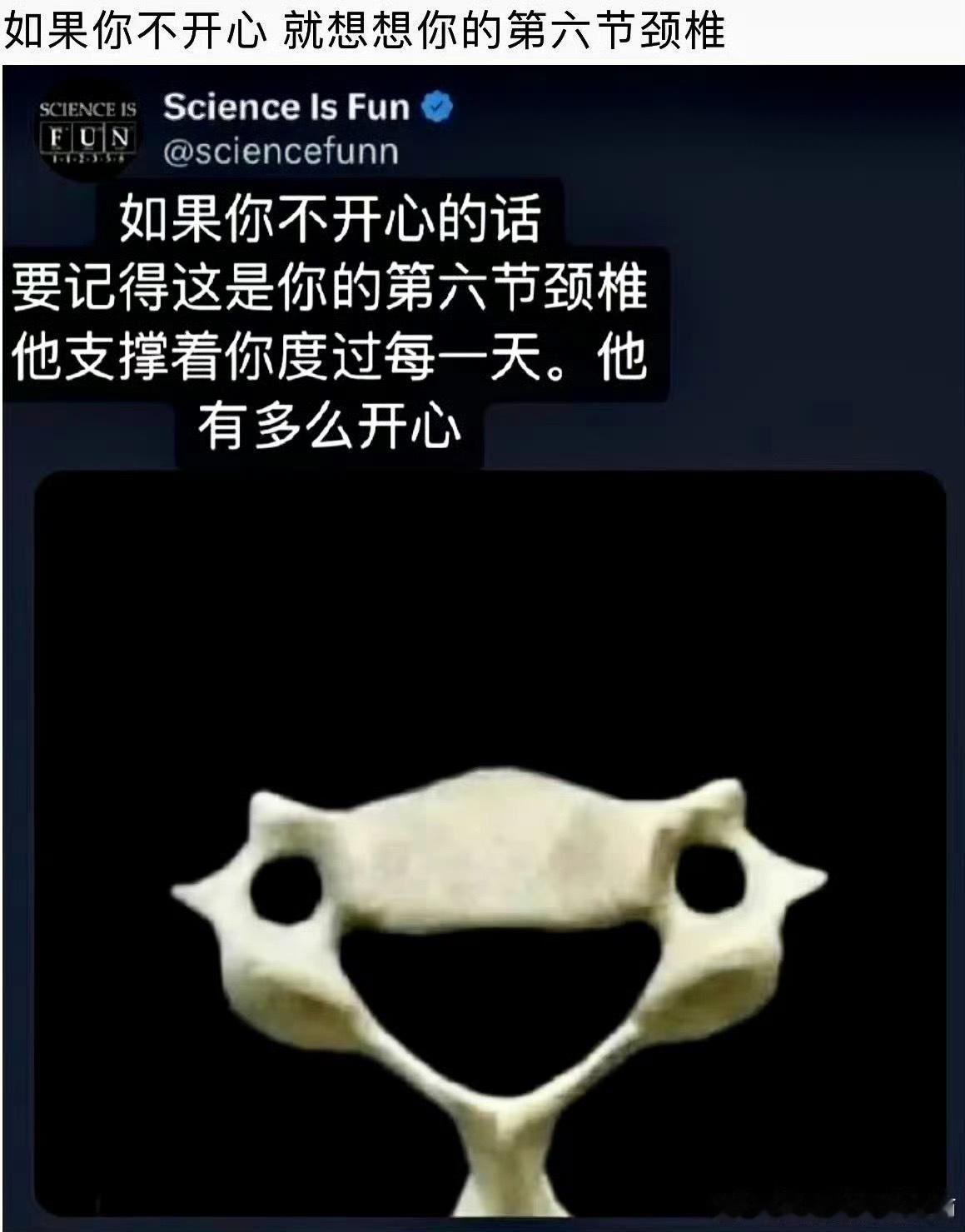 你的身体比你想象中更爱你看到这句话，我就自动想到了这张图：
