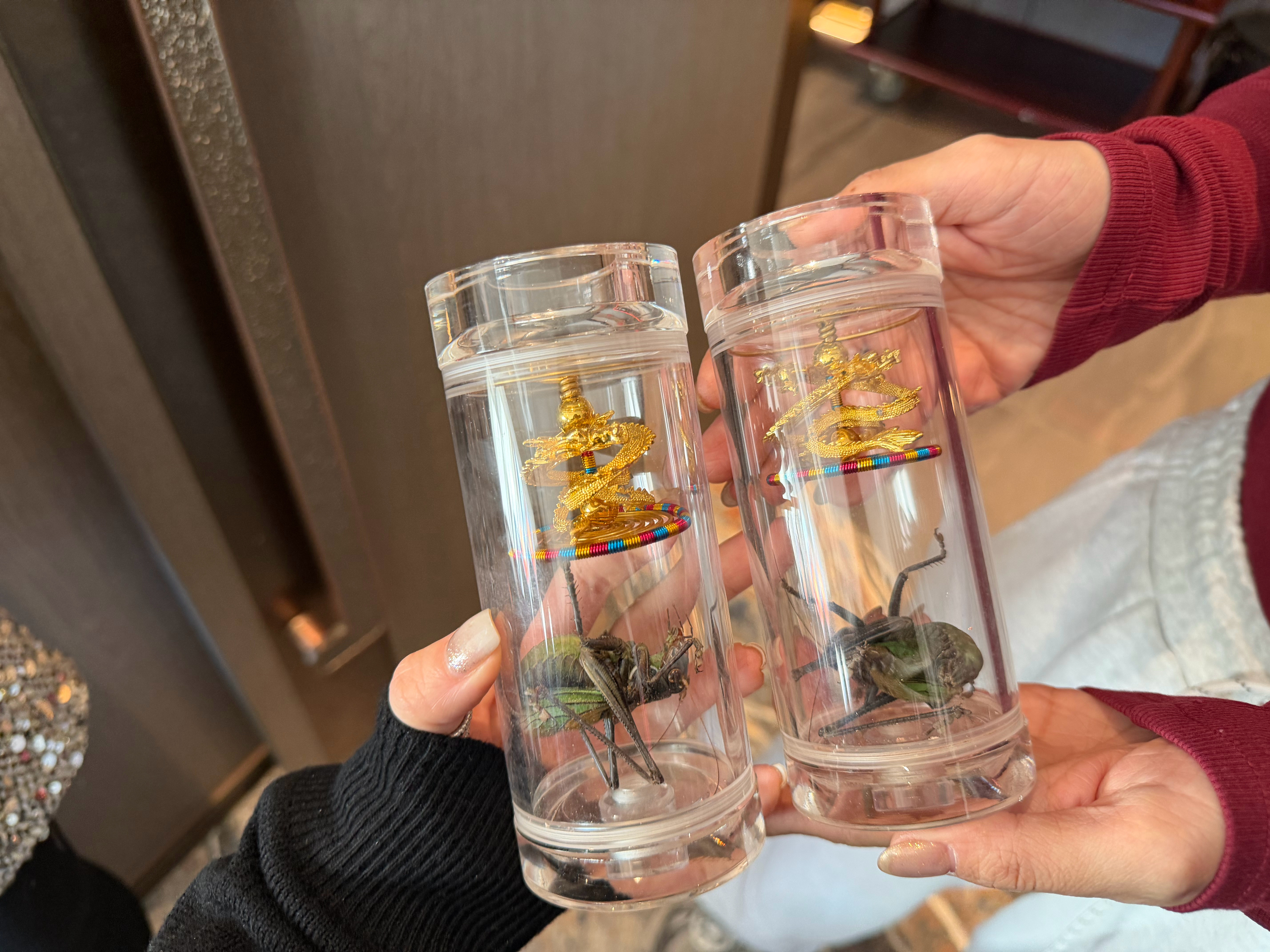 老北京宝可梦哈哈哈哈哈😂春节婷日常