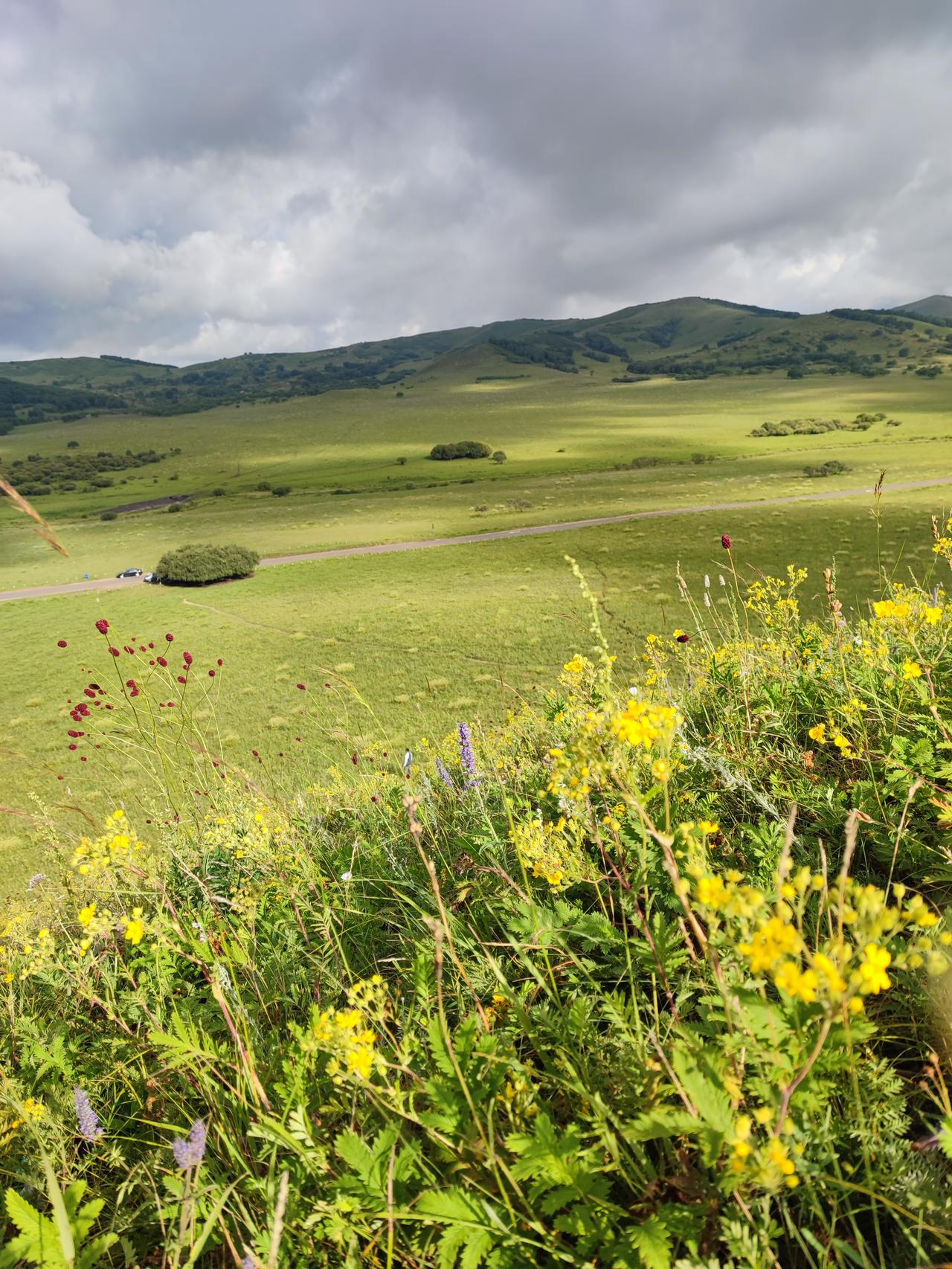 晒一张旅途风景照最美乌兰布统！