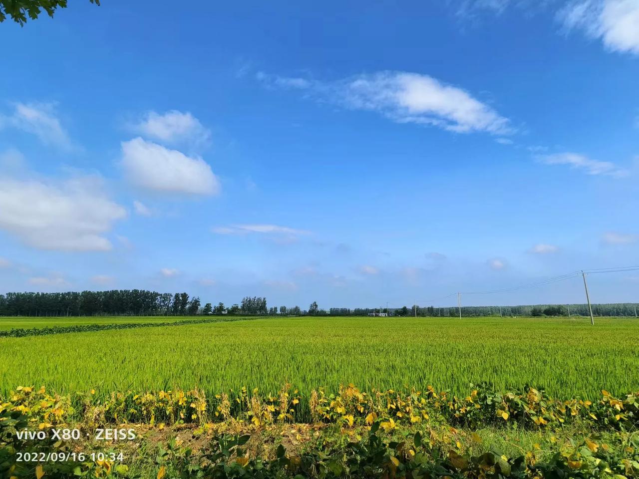 春种一粒谷，秋收万颗籽。四海无闲田，温饱已丰足！