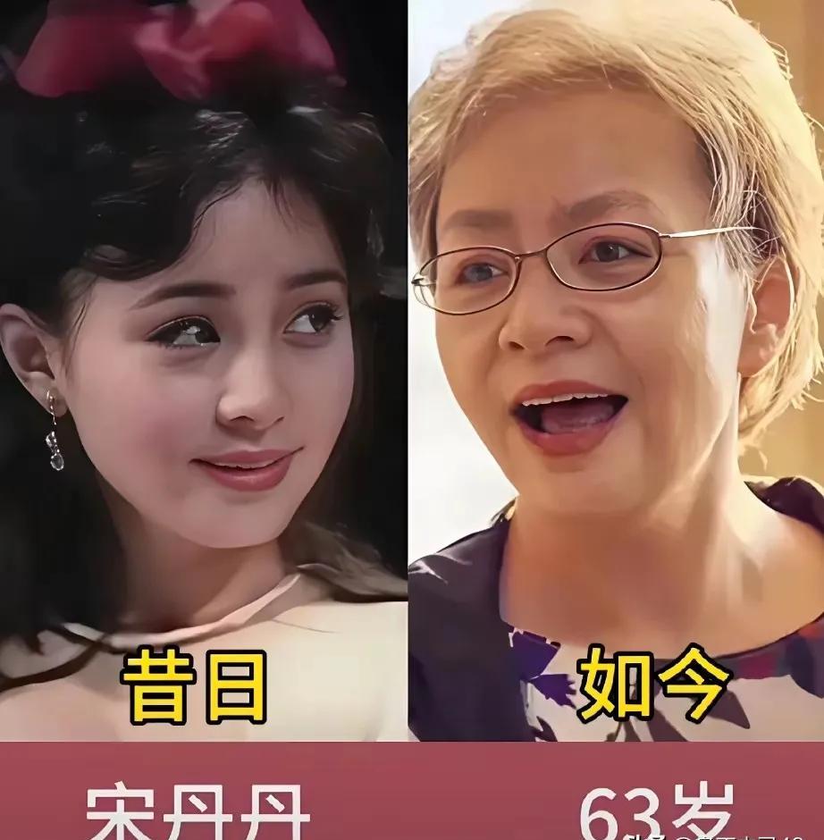 宋丹丹的银灰挑染，比当年的麻花辫还炸场。赵雅芝不靠滤镜，叶童转身当导演，潘虹演