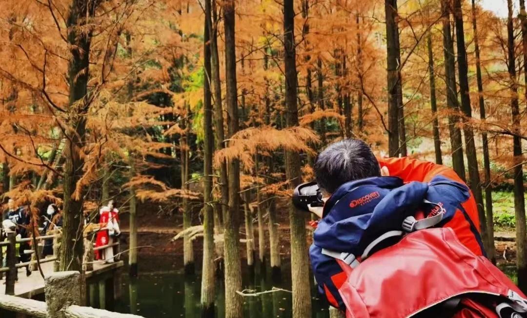 11月8日：秋徒雪窦岭古道加香榧古道位于杭州全程约13km环线徒步小白友好