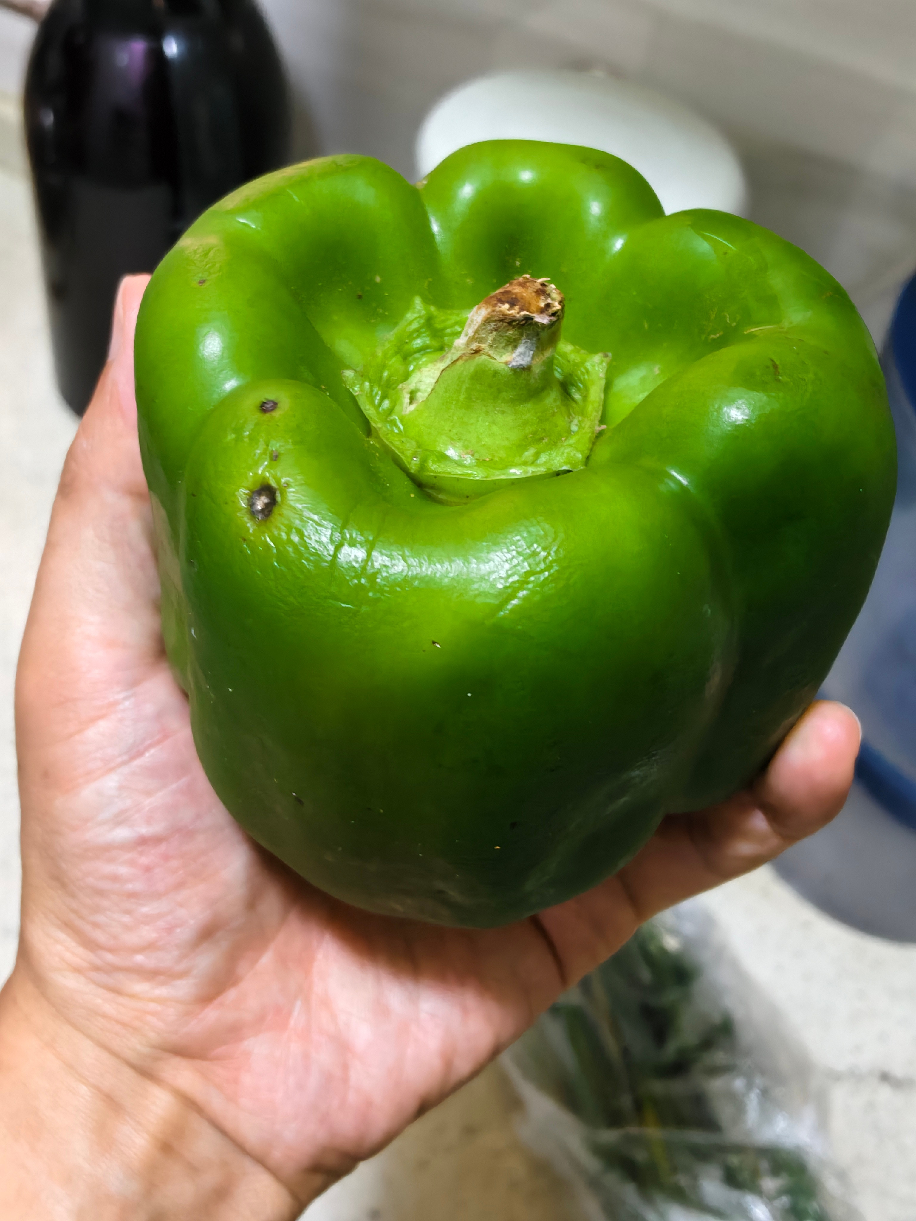一颗可怜的青椒本来是准备在路上吃的，结果跟着我们走了八天，几千公里，直到回到任丘