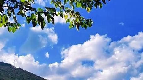处女座爱意暗藏：细节里的深情密码在星座的神秘宇宙中，每个星座都有其独特的情感