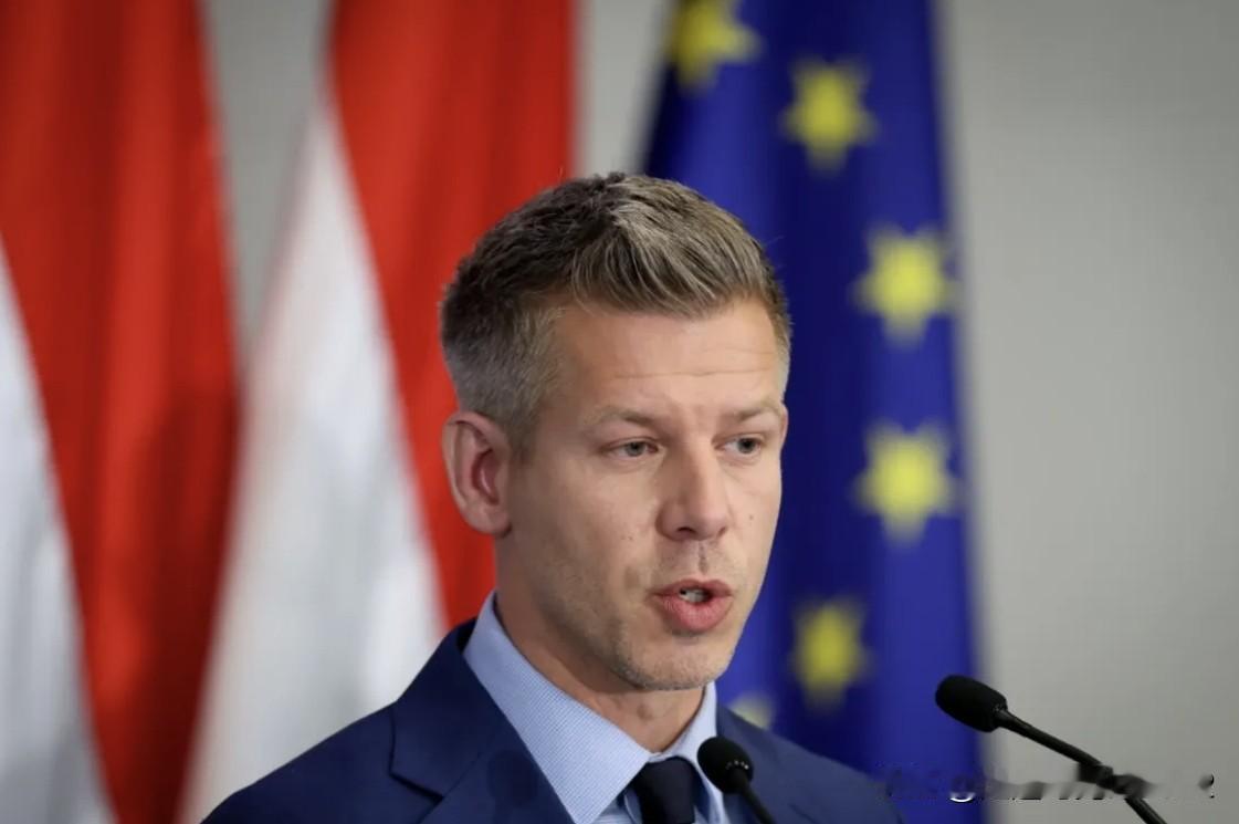 国际社会未能履行职责：讲出布达佩斯备忘录真相的匈牙利新总理马扎尔匈牙利总理