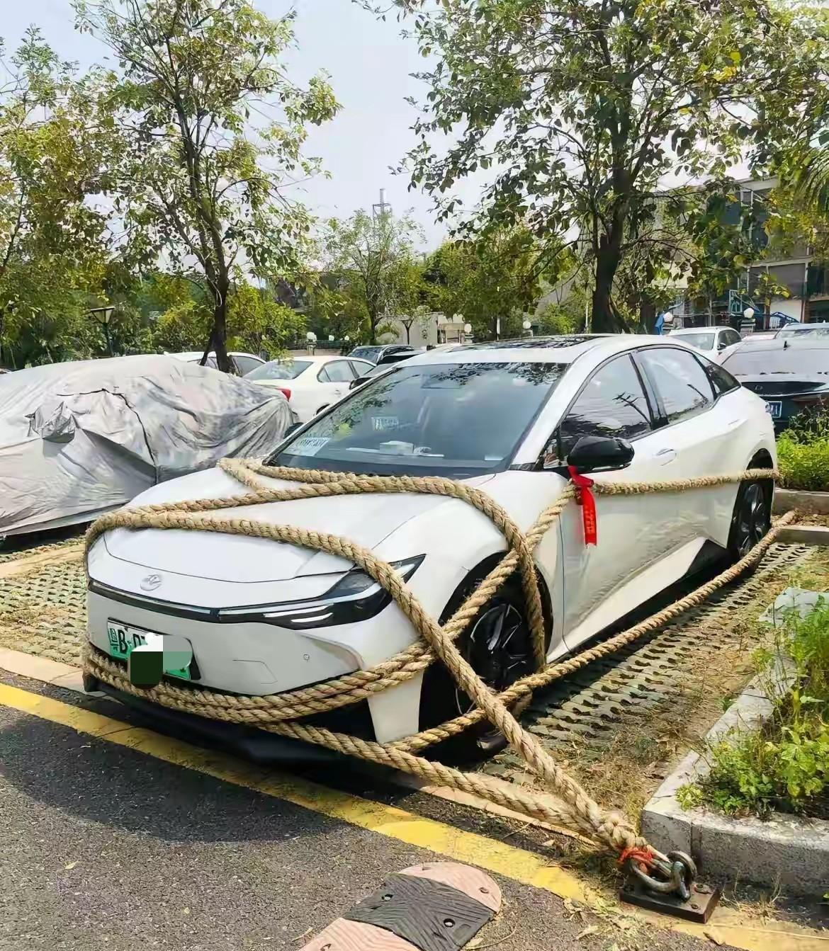 这操作真是给我逗笑了！为了应对超强台风“桦加沙”，深圳一位车主担心自己的爱车会被
