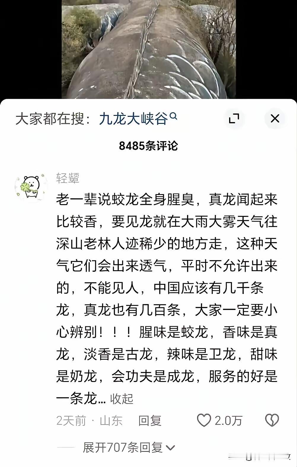 要是这么说，龙一定是存在的尤其后面几个大家都见识过