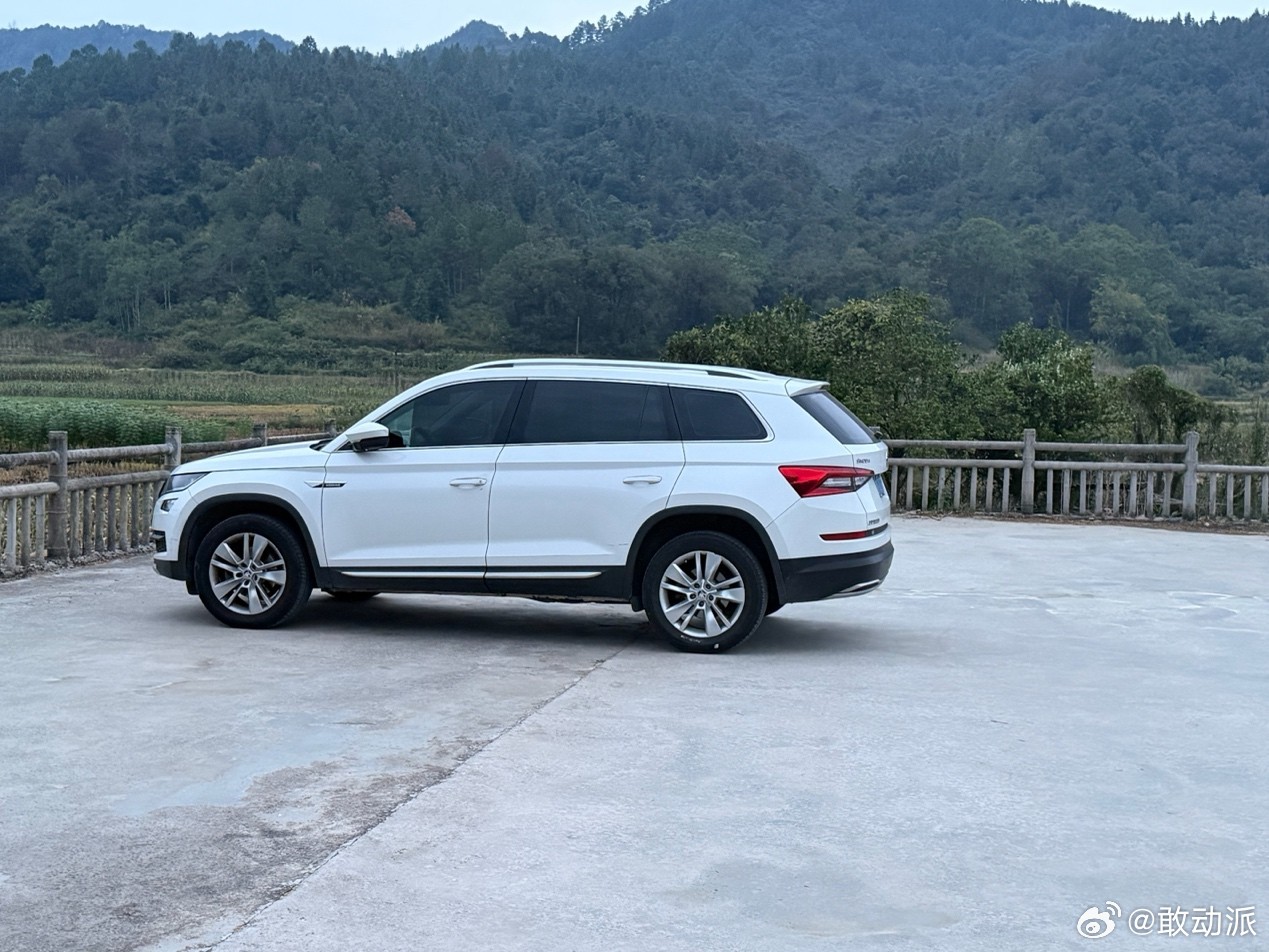 斯柯达全球总部与大众中国官宣，2026年年中清理完库存后，将停止中国市场售前服