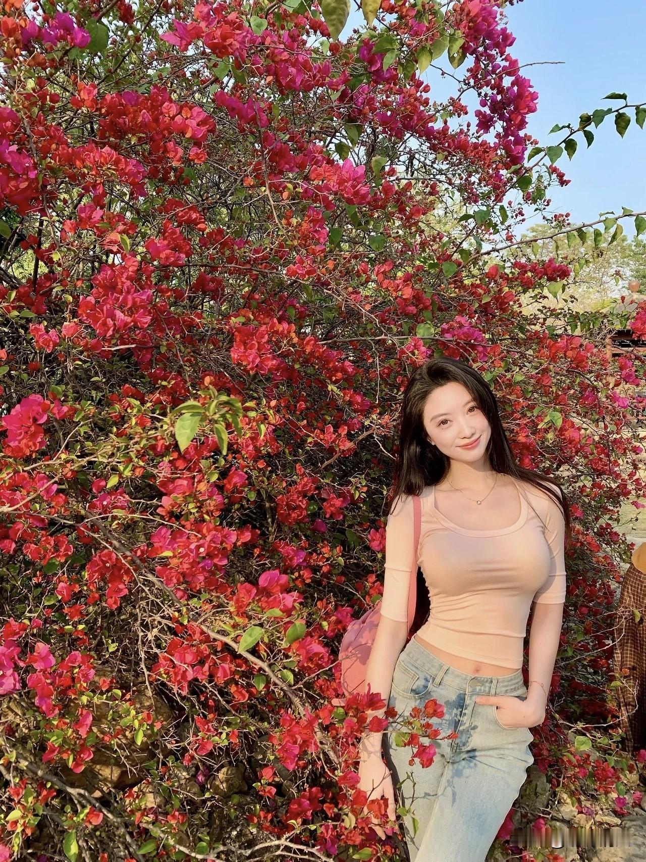 云南的鲜花太好看了！路过街边或者公园，看到一簇簇的，真的会忍不住想拍几张。其实在