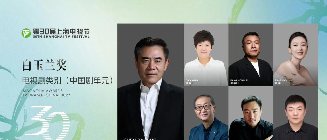 白玉兰的评委阵容，偏保守派，刘亦菲和杨紫不是很有优势。什么奖项关注度高了，就会