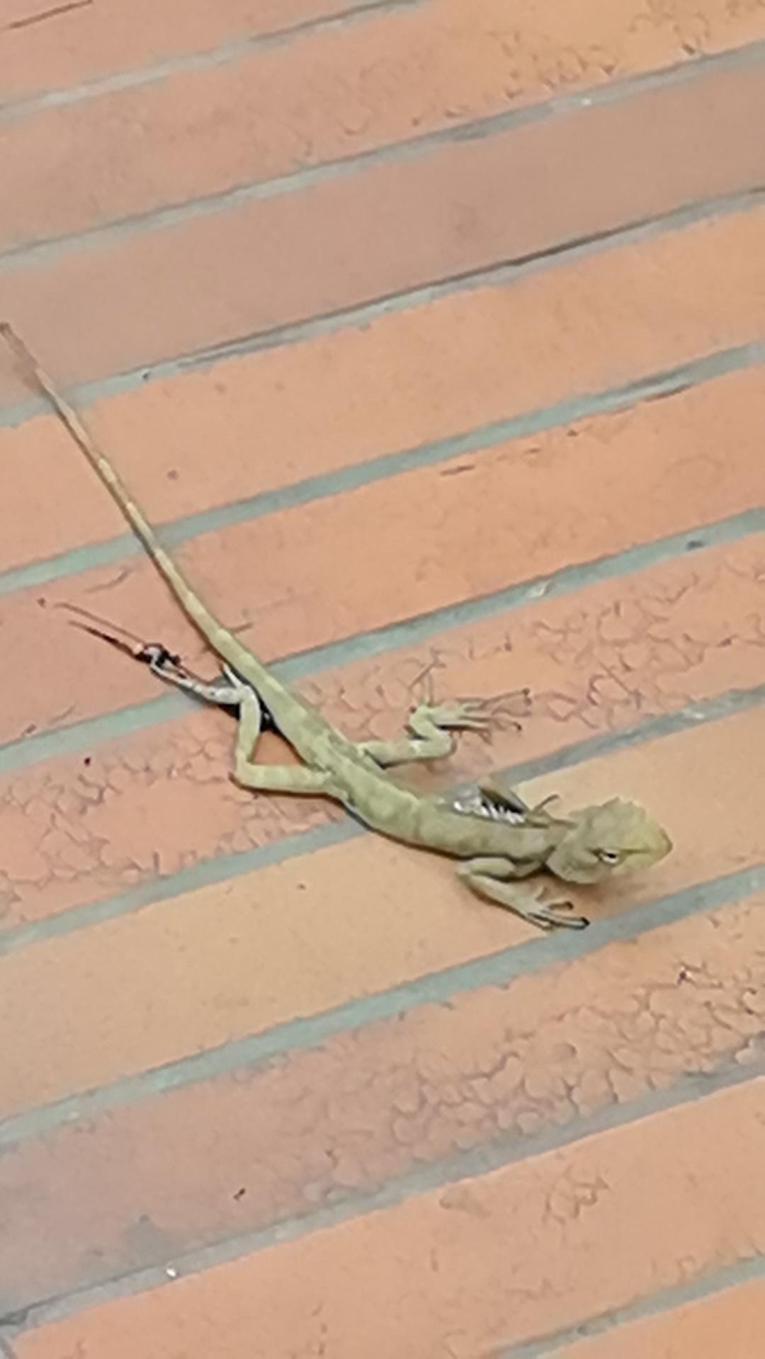 商业航天什么时候重启？答案超乎很多人预期4月18日，在确定5月份主线后，突然问