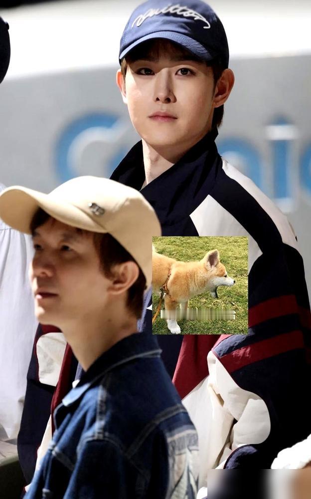 十年合约一到期，汪铎扭头就和魏哲鸣平起平坐了。郭敬明这十年，算是白忙活了。你