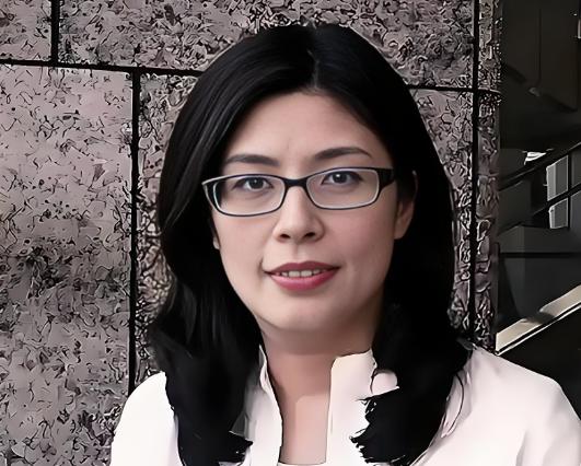 国民党主席选举期间，居然只有一个人表明了自己“是一个中国人”的立场！在9月1