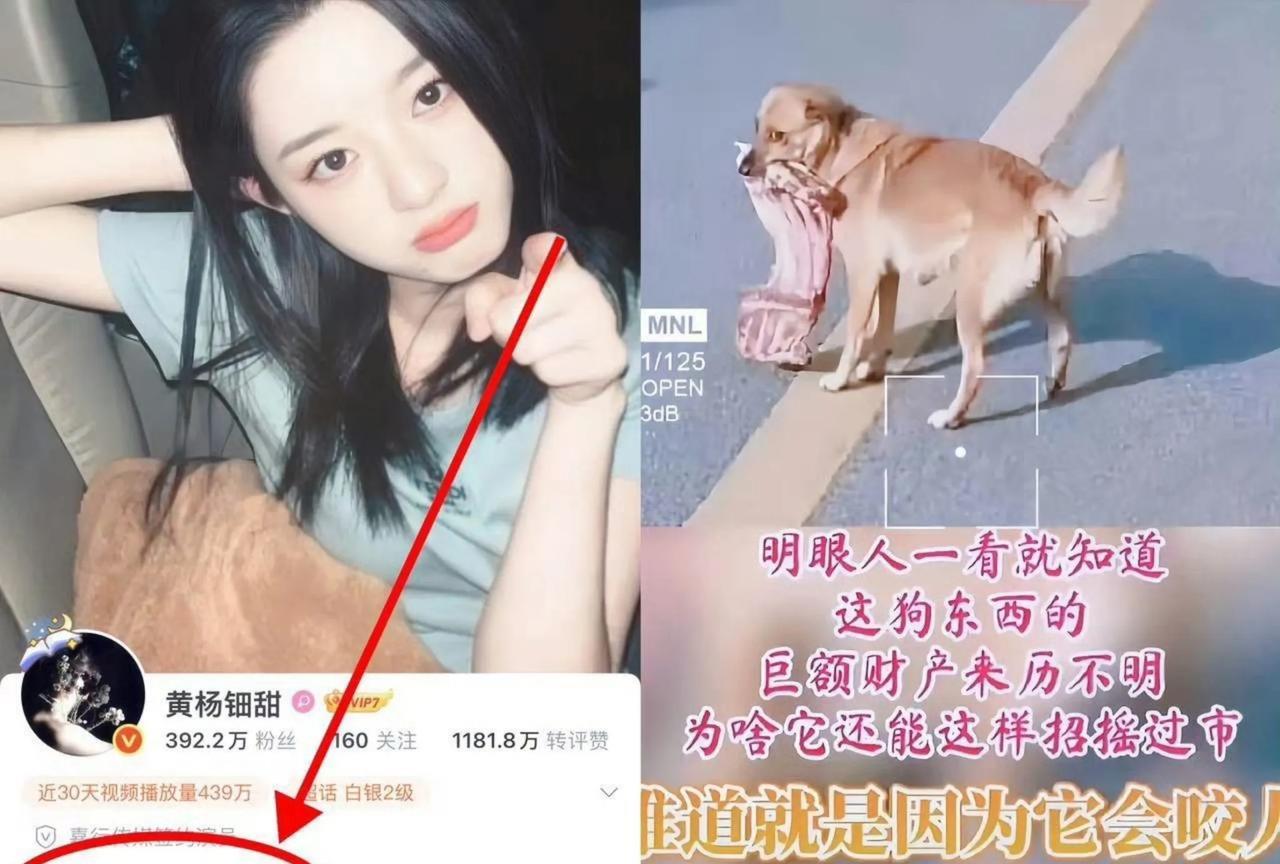 关于黄杨某甜事件最新情况的多方说法梳理近日，针对黄杨某甜相关争议物品来源问题，