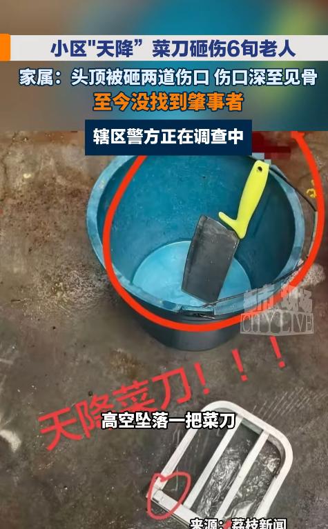 湖南湘潭，一名女子下班回到家，本以为会像往常一样看到爱犬摇着尾巴迎上来，却发现院