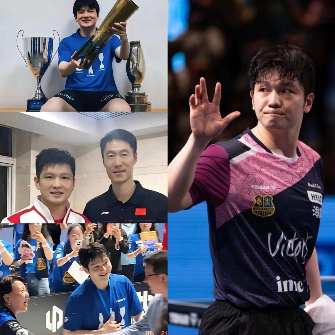 原定休整两月被迫提前归国！樊振东独自入训，王励勤感慨职业素养出众！樊振东与