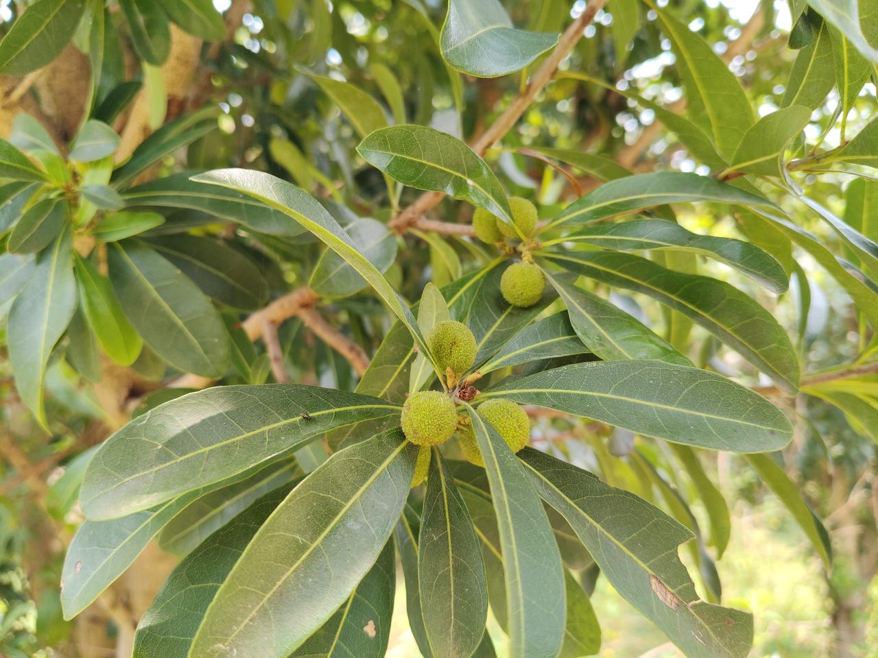 业绩窗口期，4月底一季报密集披露，绩差股有暴雷风险。赶快看看自己手里持股的股票，