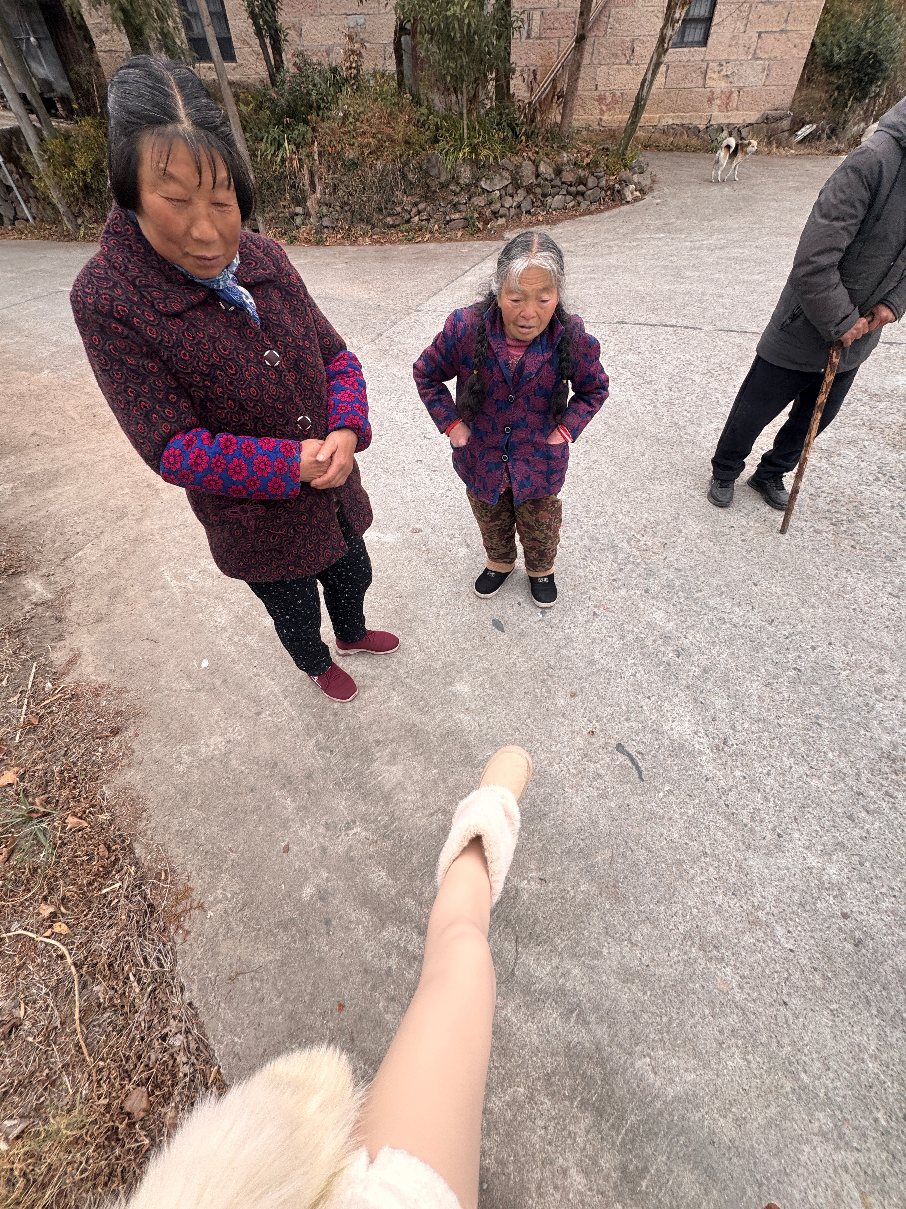 去村口等车路过的奶奶们在讨论我有没有穿裤子这次回家又拎了一个新篮子回杭州拿了