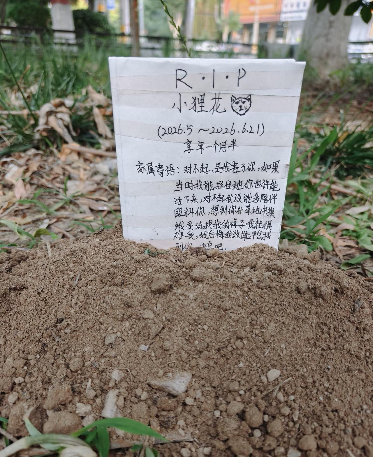 有点心碎啊，看得出来孩子很伤心。
