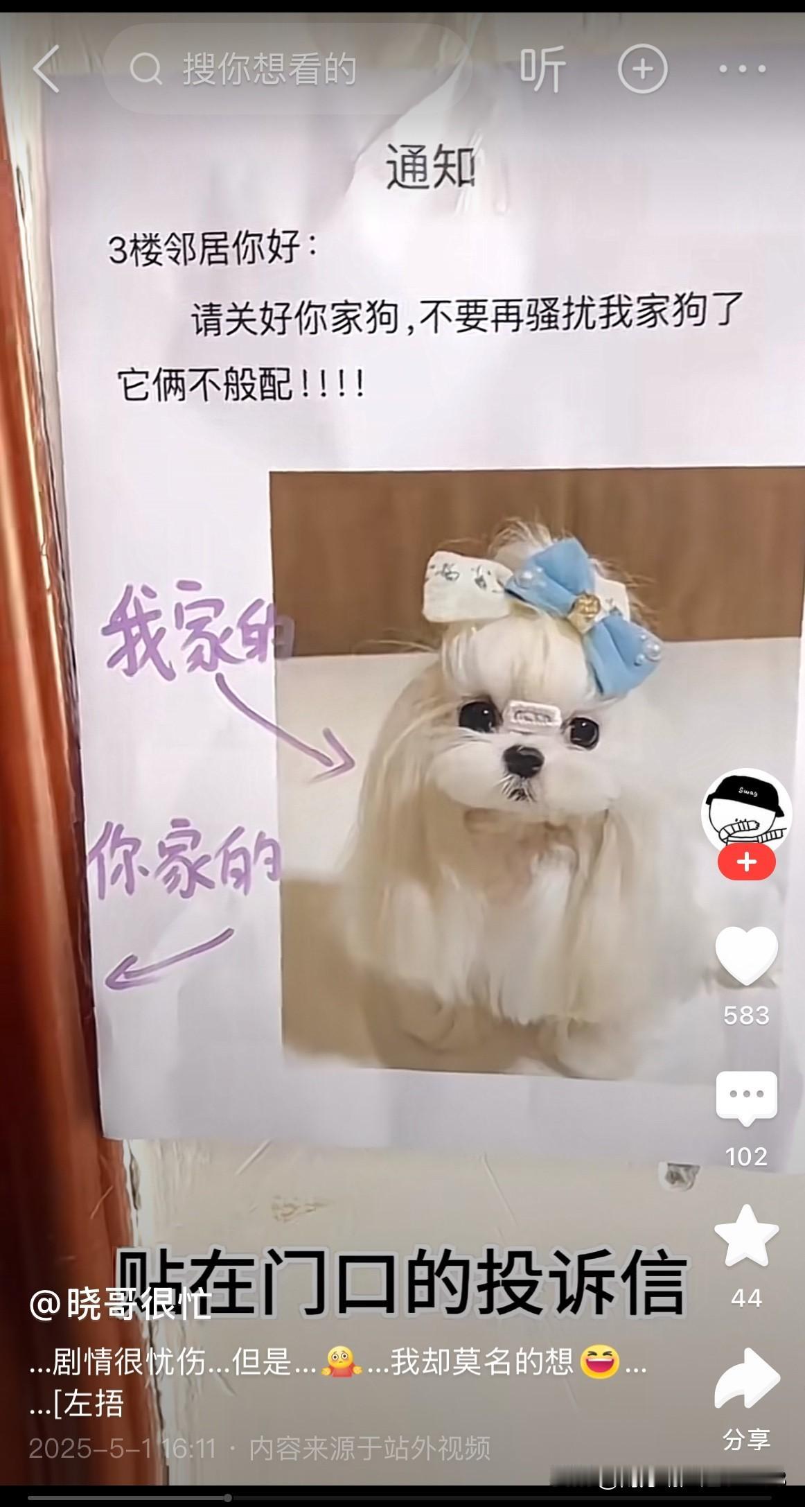 这是对狗狗的一种严重打击