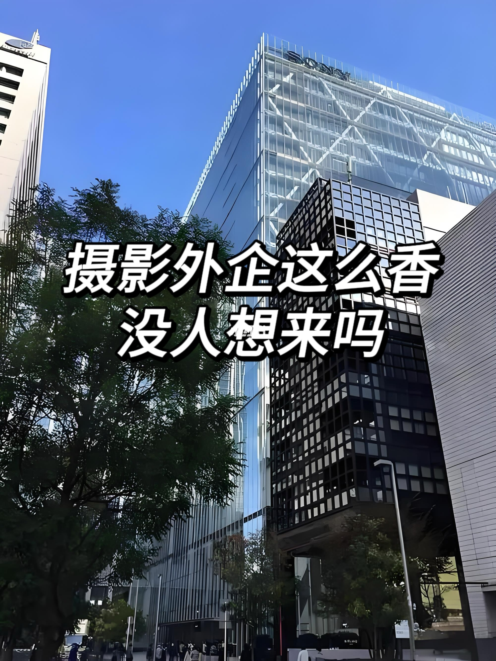 摄影外企这么香真的没人想来吗？