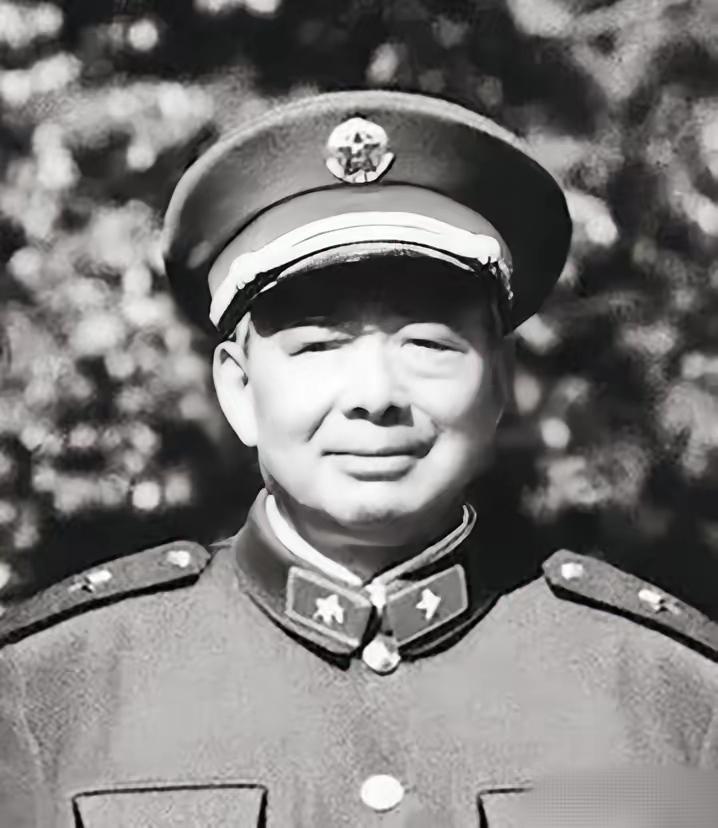 11军军长刚从中越前线回来遭遇流氓碰瓷，将军说：你们吃错药了吧!一九七九年的城