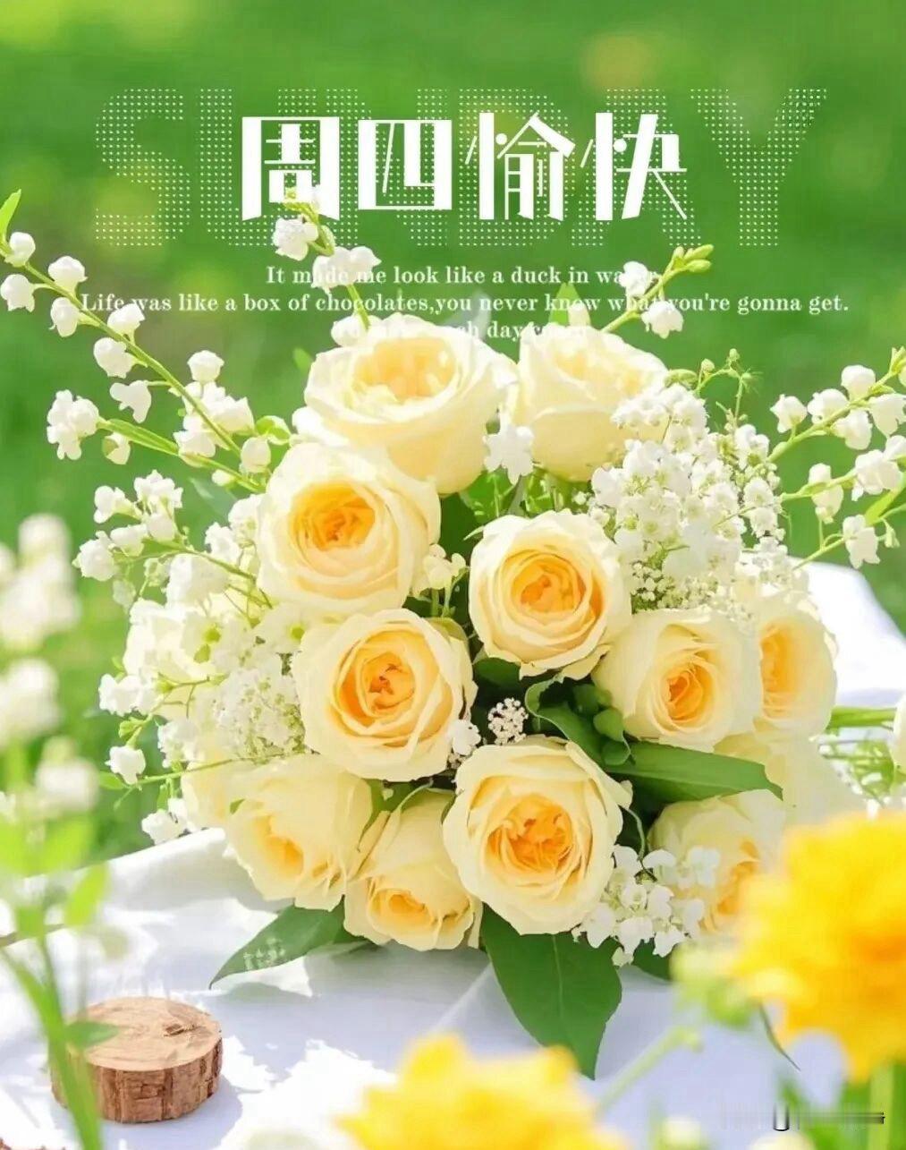 🌼²⁰²⁶/₀₆.₁₈ᵕ̈周四｜早安☀️🍃🐎生活最舒服的状态，不强求