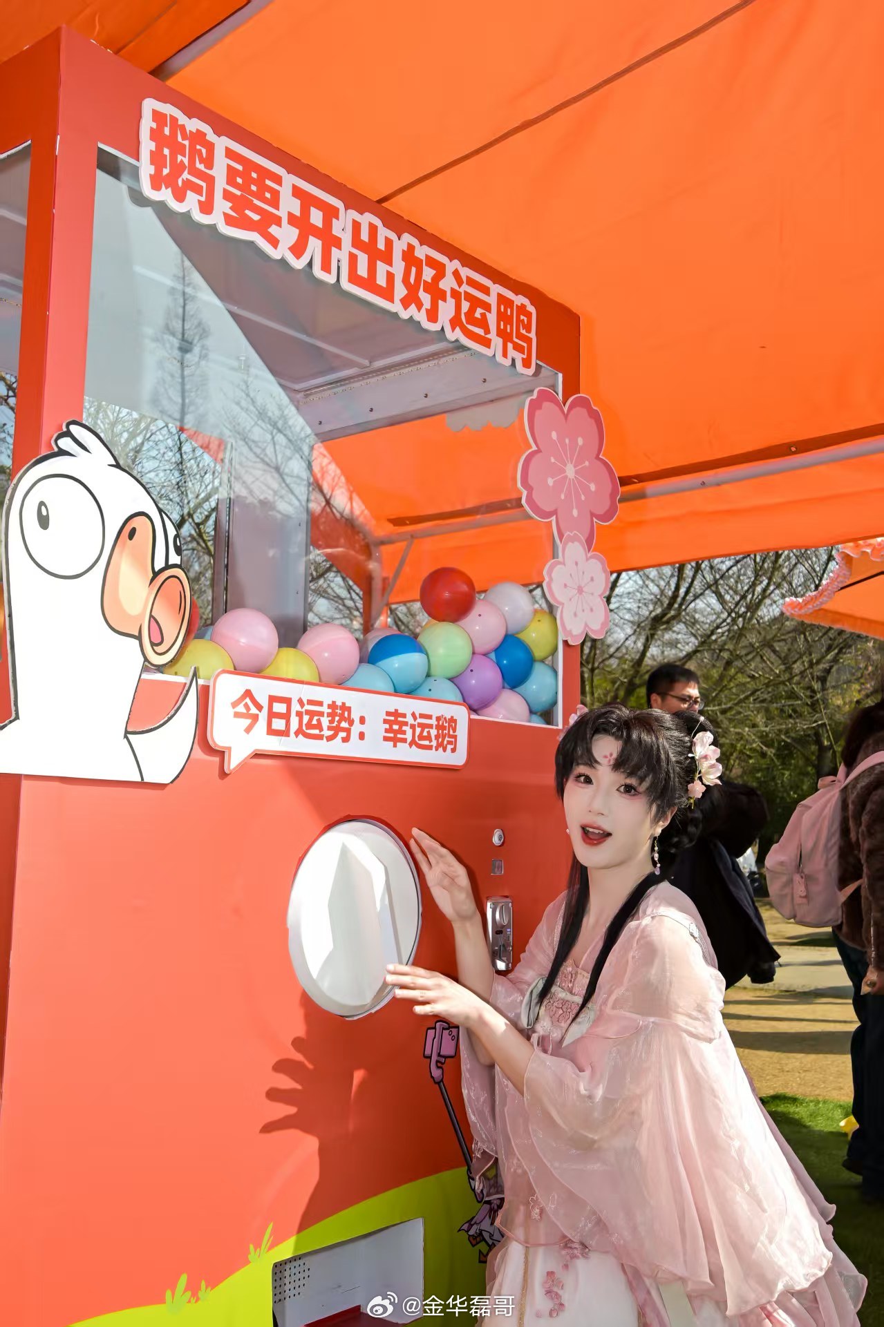 无锡樱花版鹅鸭杀无锡樱吹雪，coser互动热闹，游戏简单治愈，春光正好，在花海遇