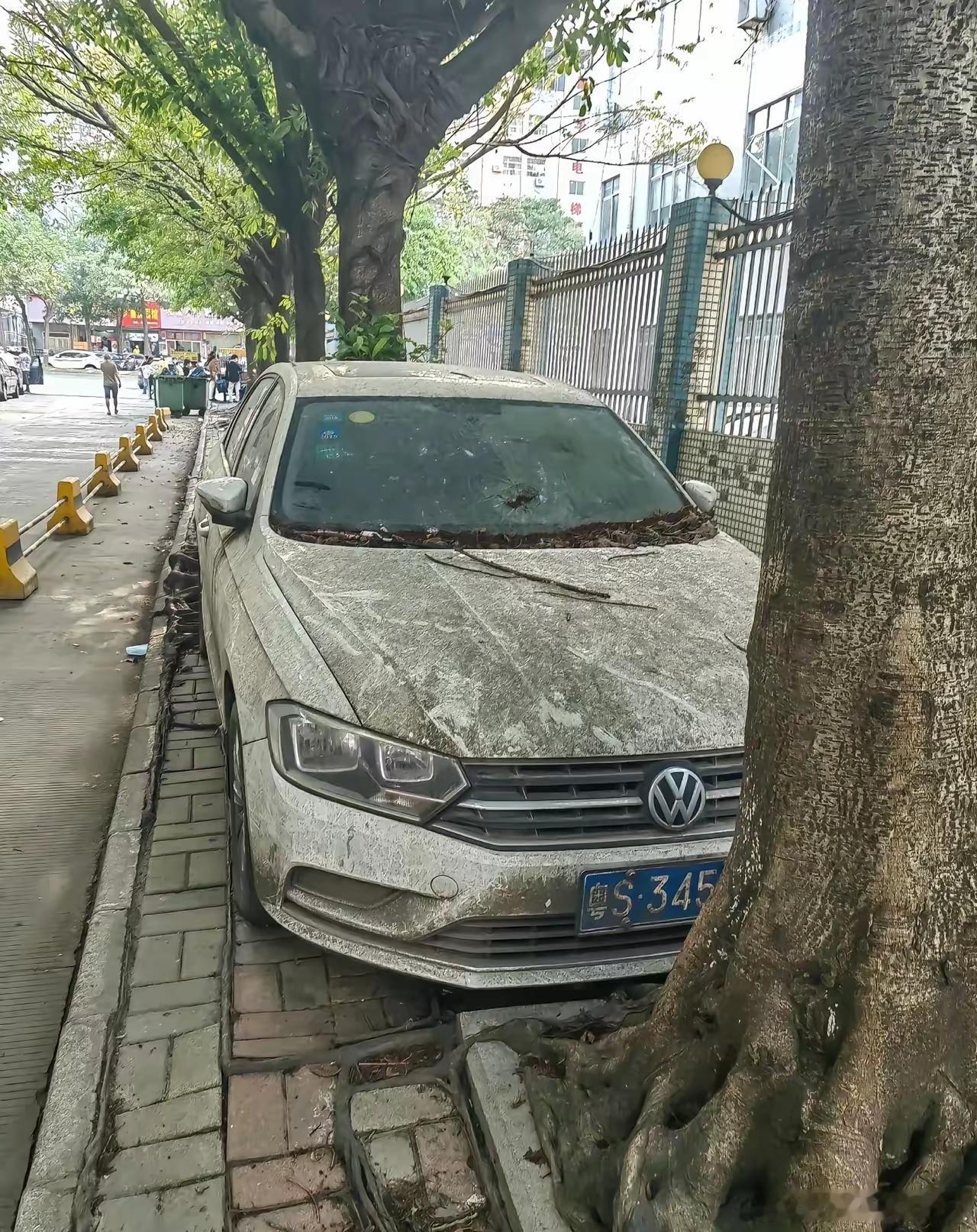 路边那车，一停停三年，车主是上去了，还是下去了​​​