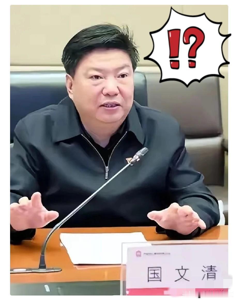 国文清投案，印度那座全球最大高炉该不该建？​五矿原总经理国文清主动投案接受审