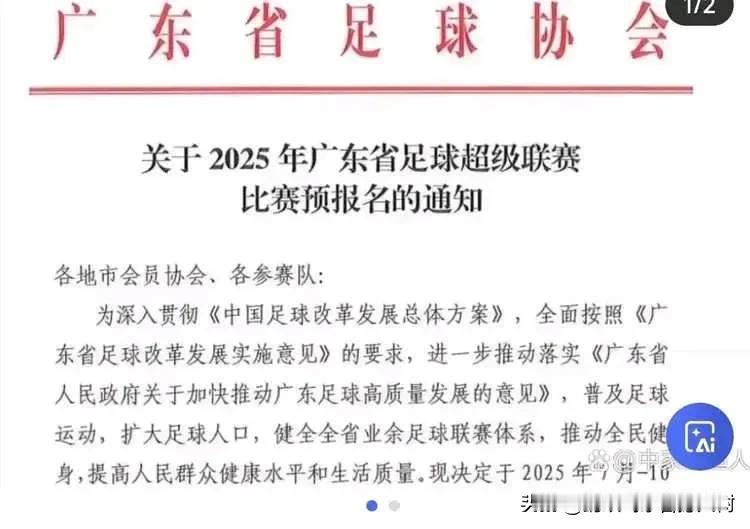 就中国这体量，一个省差不多就抵上欧洲一国了。省内联赛不就等于欧洲国内联赛级别。然