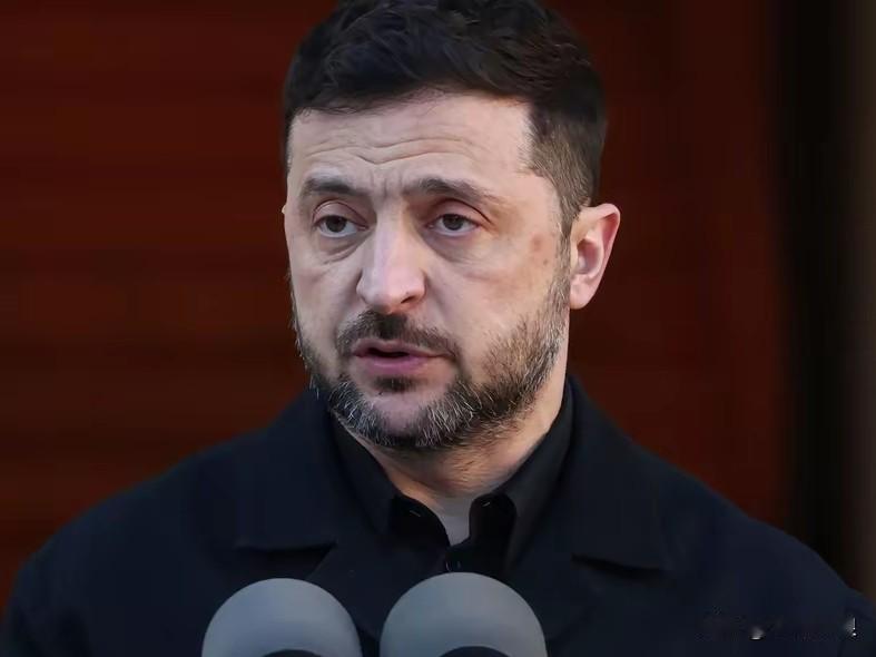 乌克兰总统泽连斯基提出的条件，俄罗斯总统普京答应了！刚刚，俄罗斯总统普京表示