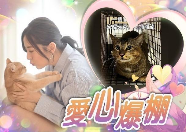 【On.cc】唐詩詠為宏福苑受驚貓貓祈禱　主子們早日康復視后唐詩詠是圈中有名的「