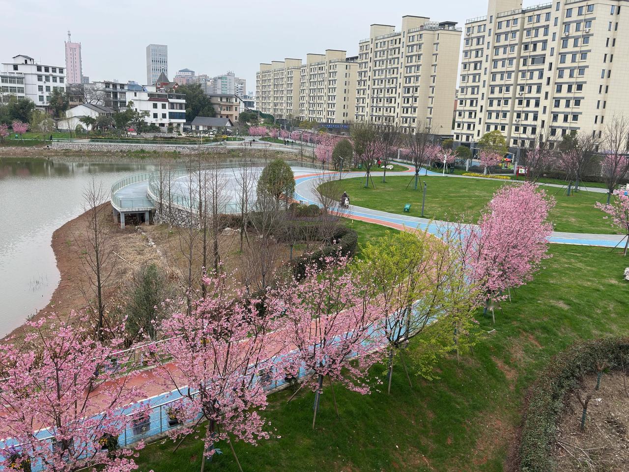 人的命，天注定！昨天邂逅一位命好的女同学，六零后，今年58岁，她只上班10年就