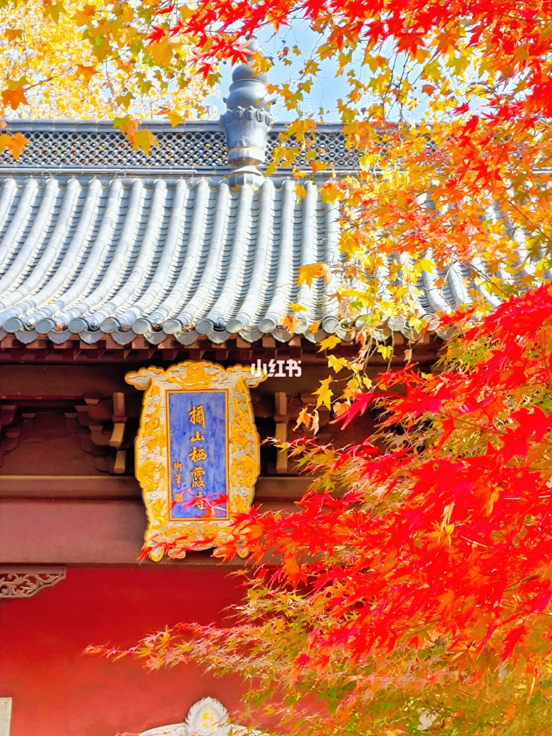 🍁南京栖霞山赏枫｜每年都会有人踩大坑！